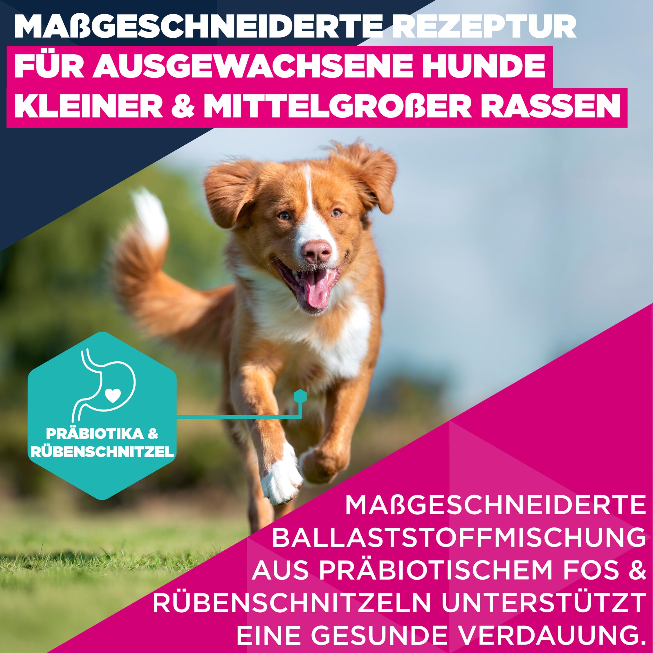 Eukanuba Hundefutter Trocken mit Lachs und Gerste für kleine und mittelgroße Rassen - Premium Trockenfutter für ausgewachsene Hunde, 12 kg