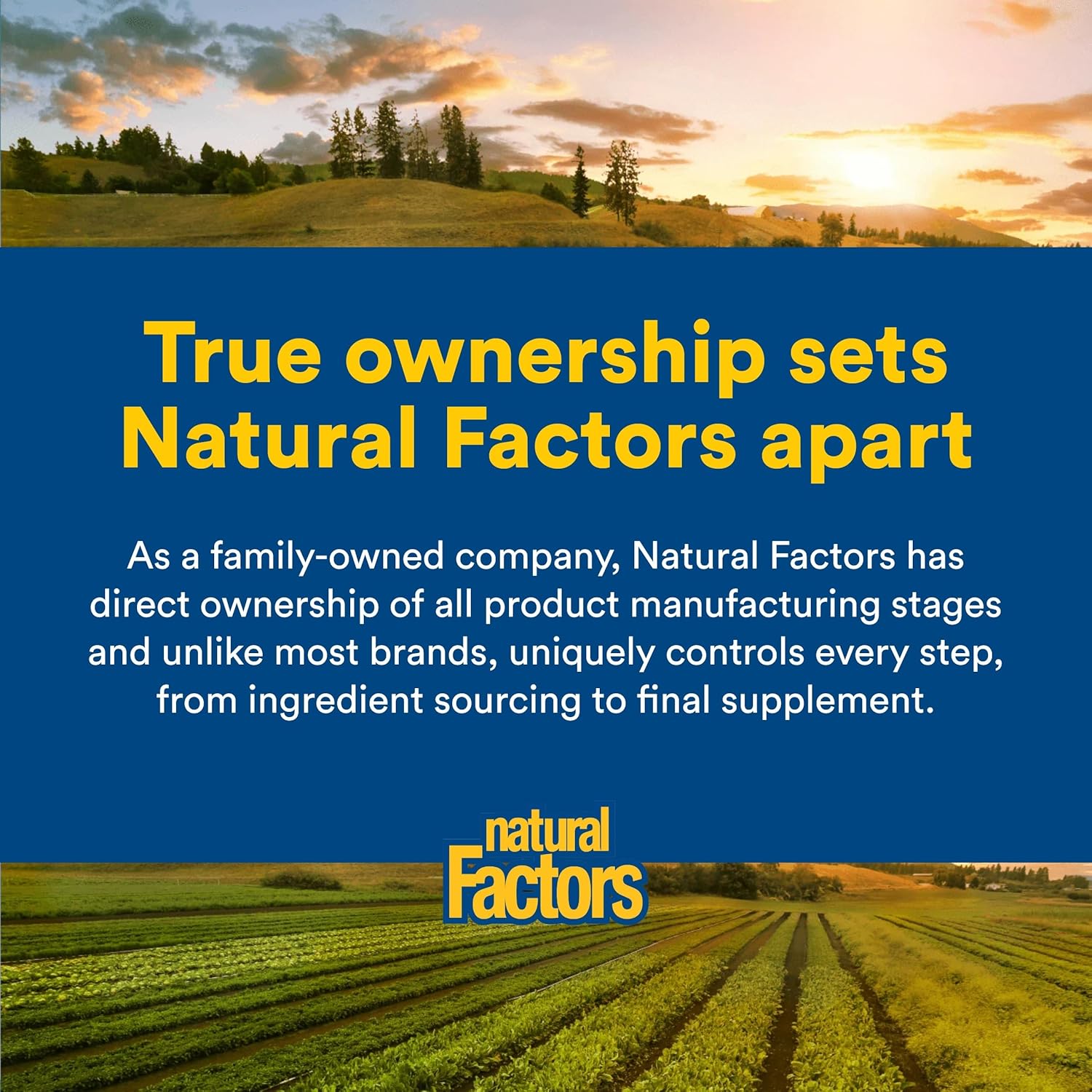 Natural Factors Anti-V Formula - Healthy Immune System Support Supplement - Herbal Immune Health Supplement with Reishi Mushroom & Licorice Root - 120 Softgels (120 Servings) - Image 7