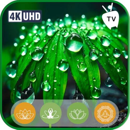 Som de ruído Verde Suave para dormir, Relaxar e estudar-perfeito para TV e Tablets