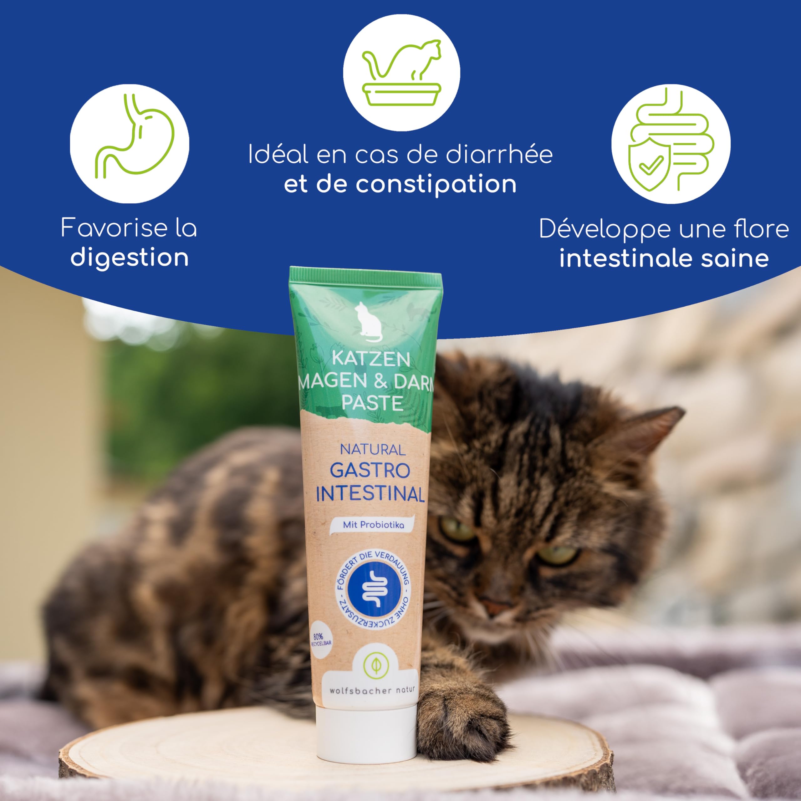 Pâte Gastro-Intestinale pour Chats – avec Probiotiques & Écorce d'Orme pour la Flore Intestinale – Soutient la Digestion & l'Estomac – Snack Doux 100g