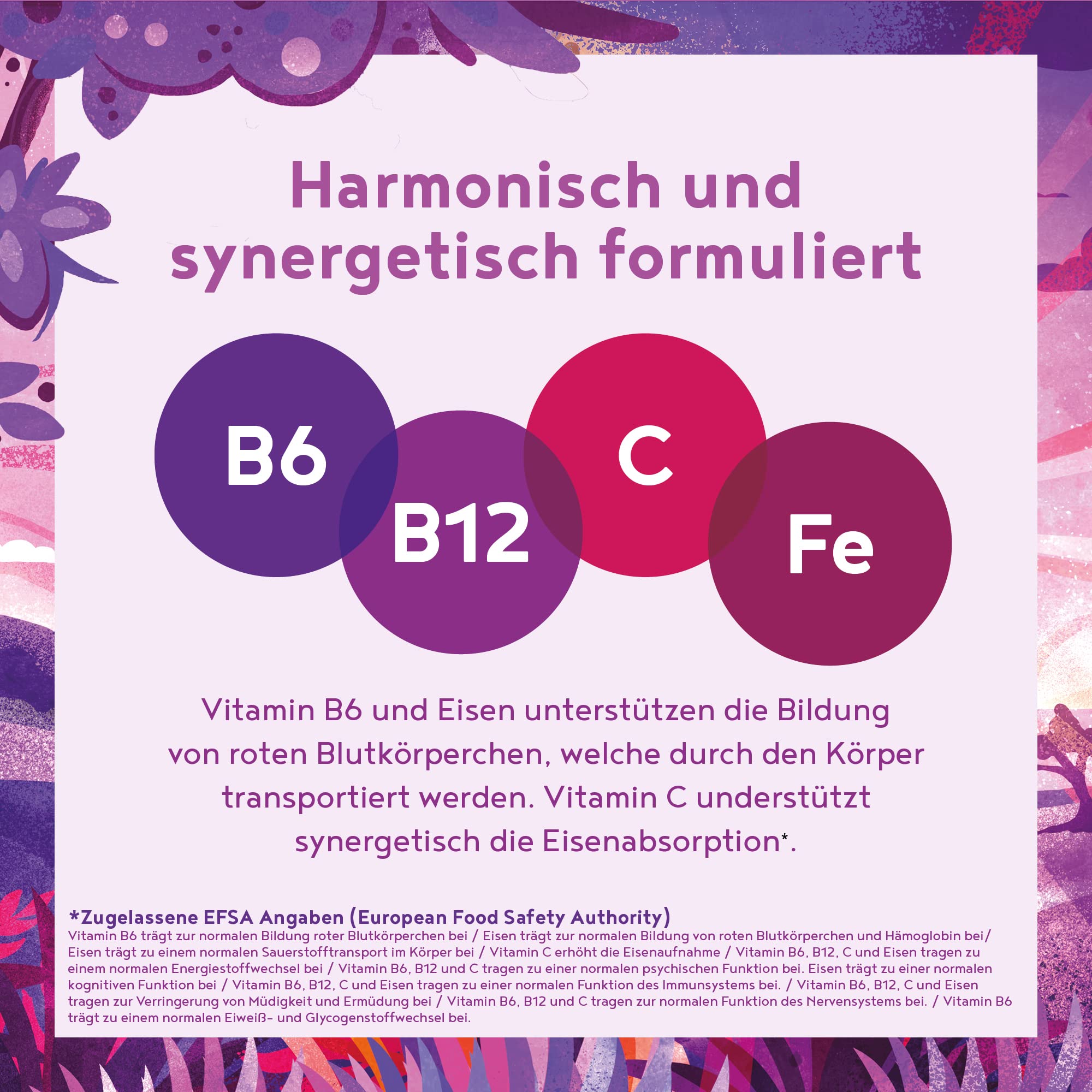 Blutnährstoffe - Gesundes Blut, Mit Eisen, Vitamin B6 und B12, Folate, Vitamin C, Himbeeren, Goji und Açai - 90 Kapseln