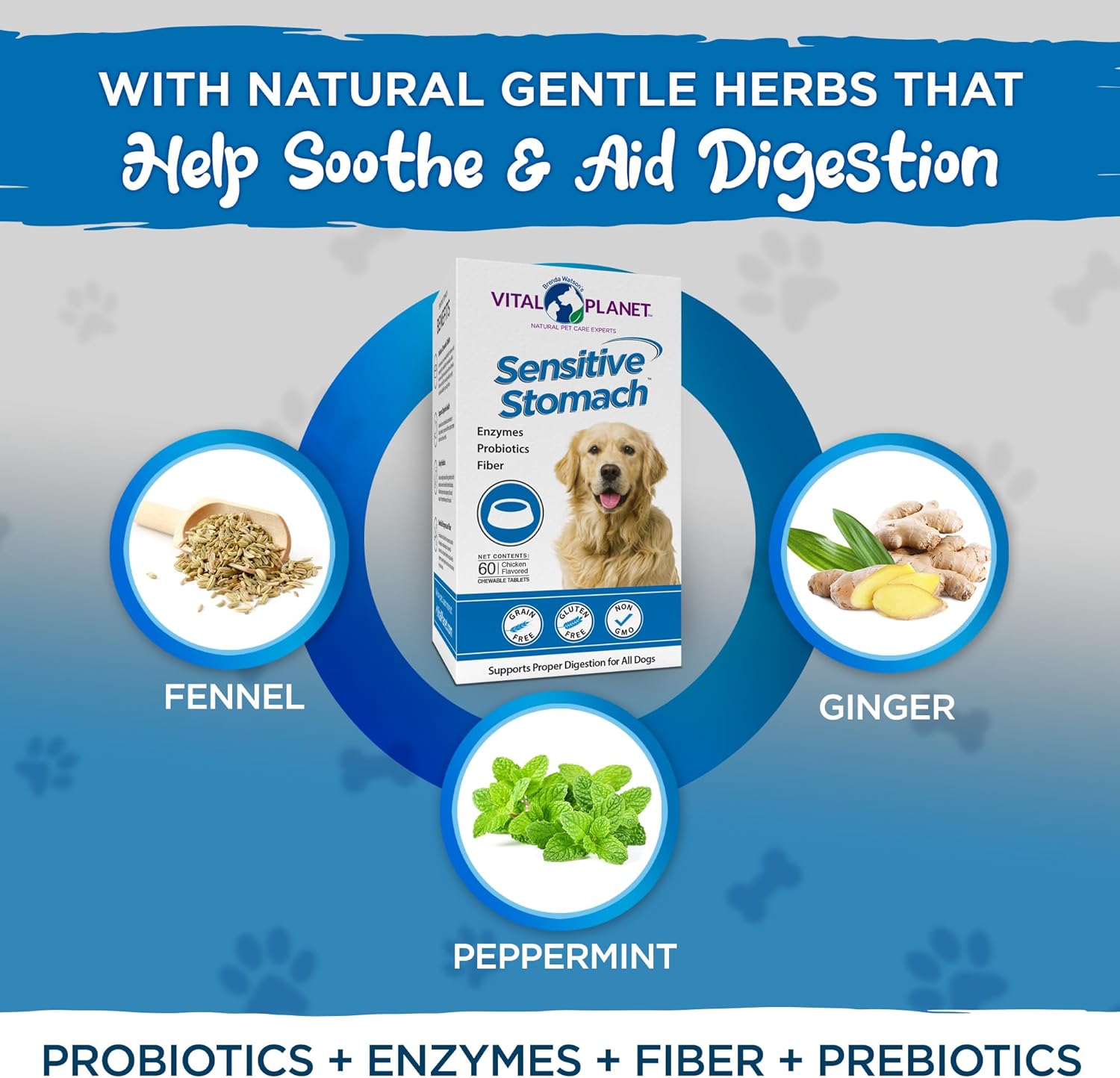 Vital Planet - Sensitive Stomach for Dogs with Enzymes, Probiotics and Fiber, Natural Digestive Support for Upset Stomach with Fennel, and Peppermint, 60 Chicken Flavored Chewable Tablets