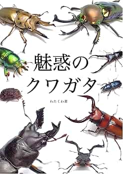 くわがたマガジン 28冊 くわがたマガジン 28号[238]