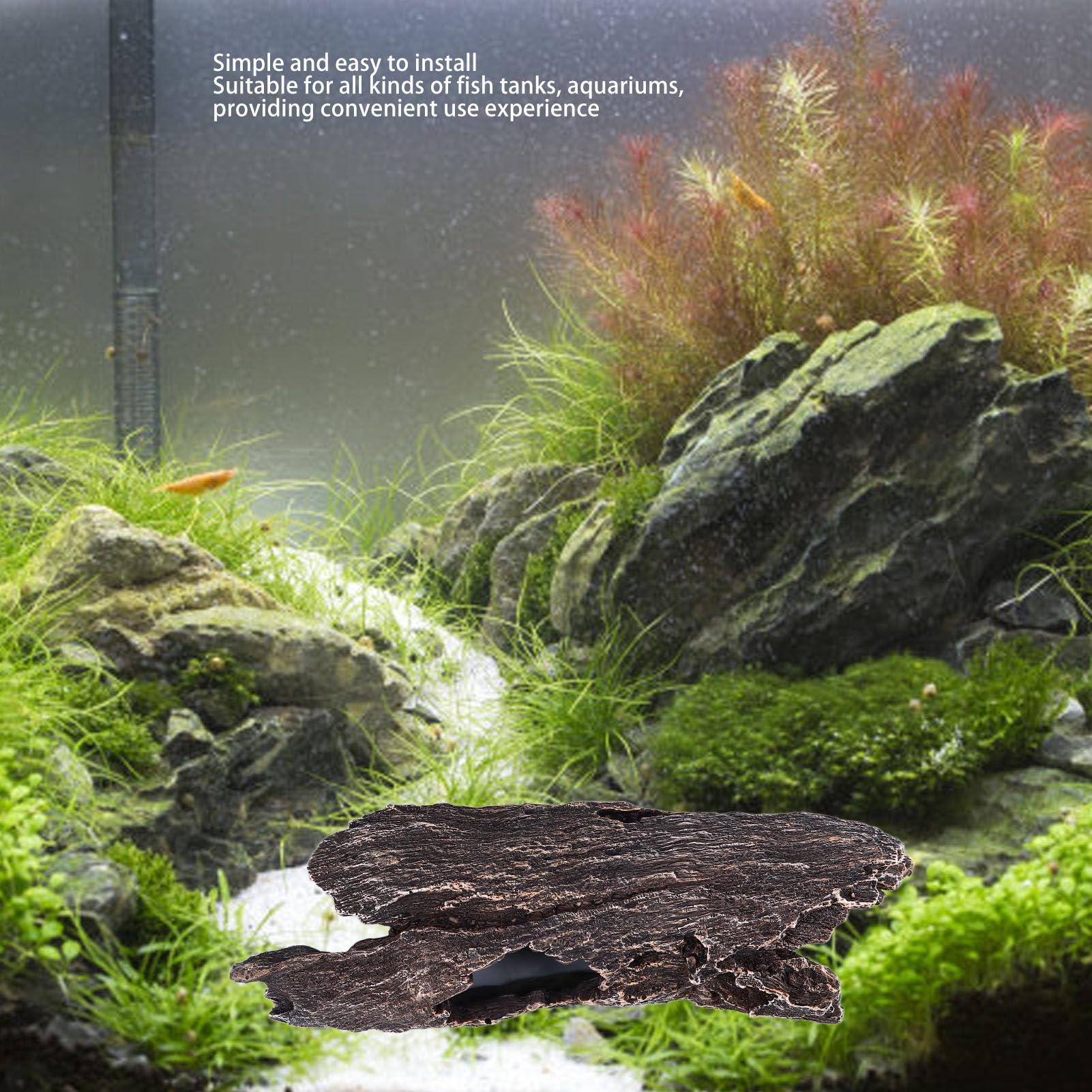 Vind terrarium kurk in Reptielen en Amfibieën