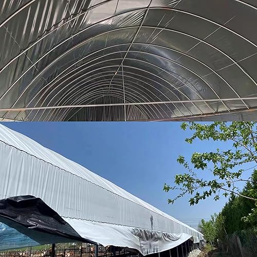 Miniatura 5 de HFS (R) Película de Panda Blanco y Negro 5.5 Mil 100% Virgen Película de Polietileno para Agricultura y Horticultura (10X50FT)