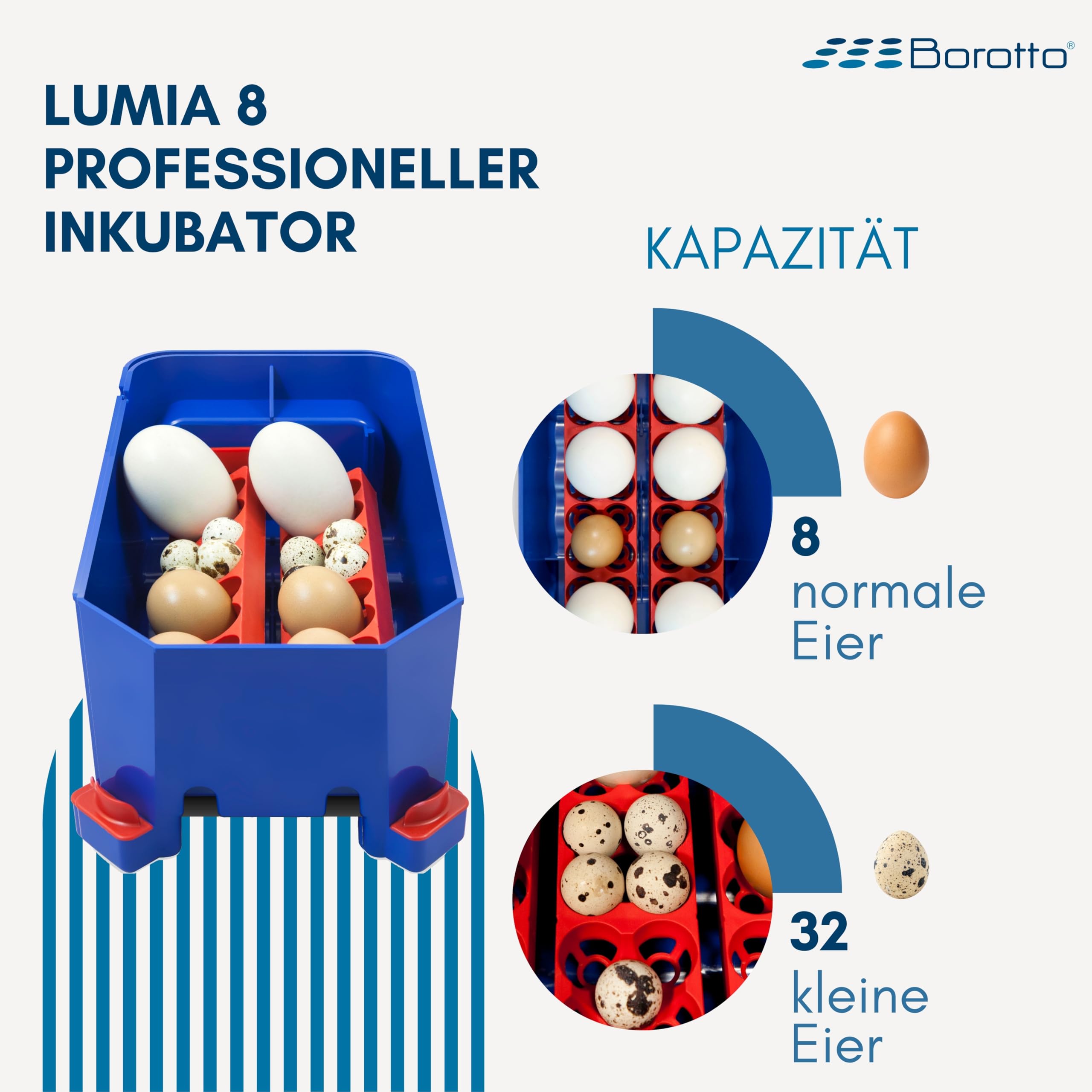 Borotto Lumia 8 | Brutautomat Vollautomatisch, Inkubator für 8 Eier oder 32 Kleine Eier mit Automatischem Eierwendemechanismus und Temperaturregelung | Hergestellt in Italien