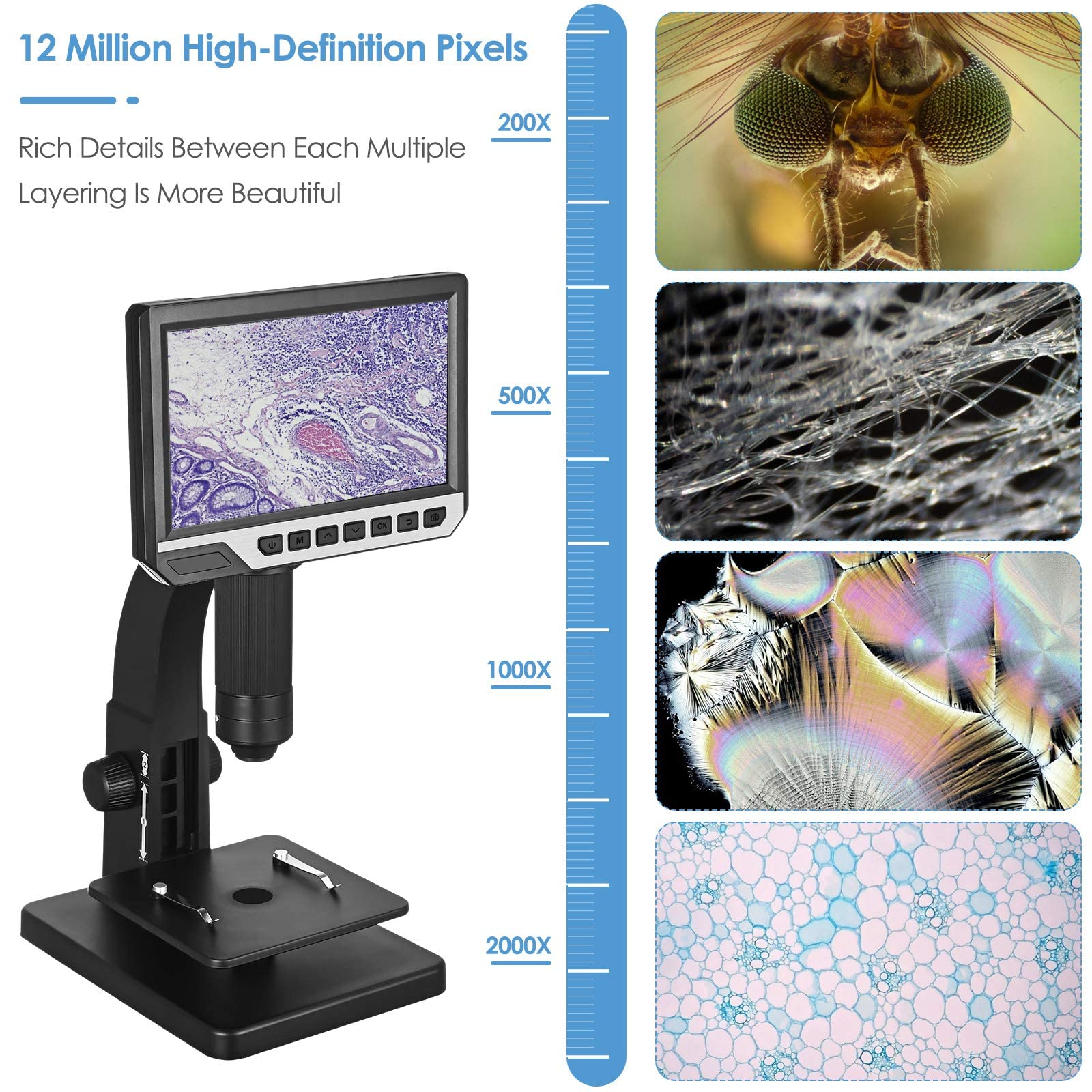 Microscopio digital LCD, microscopio biológico de 2000X y lente microbiana, pantalla IPS de 7 pulgadas, 10 LED resaltados y 1 LED superbrillante, resolución de 12 MP, con tarjeta SD de 32 GB