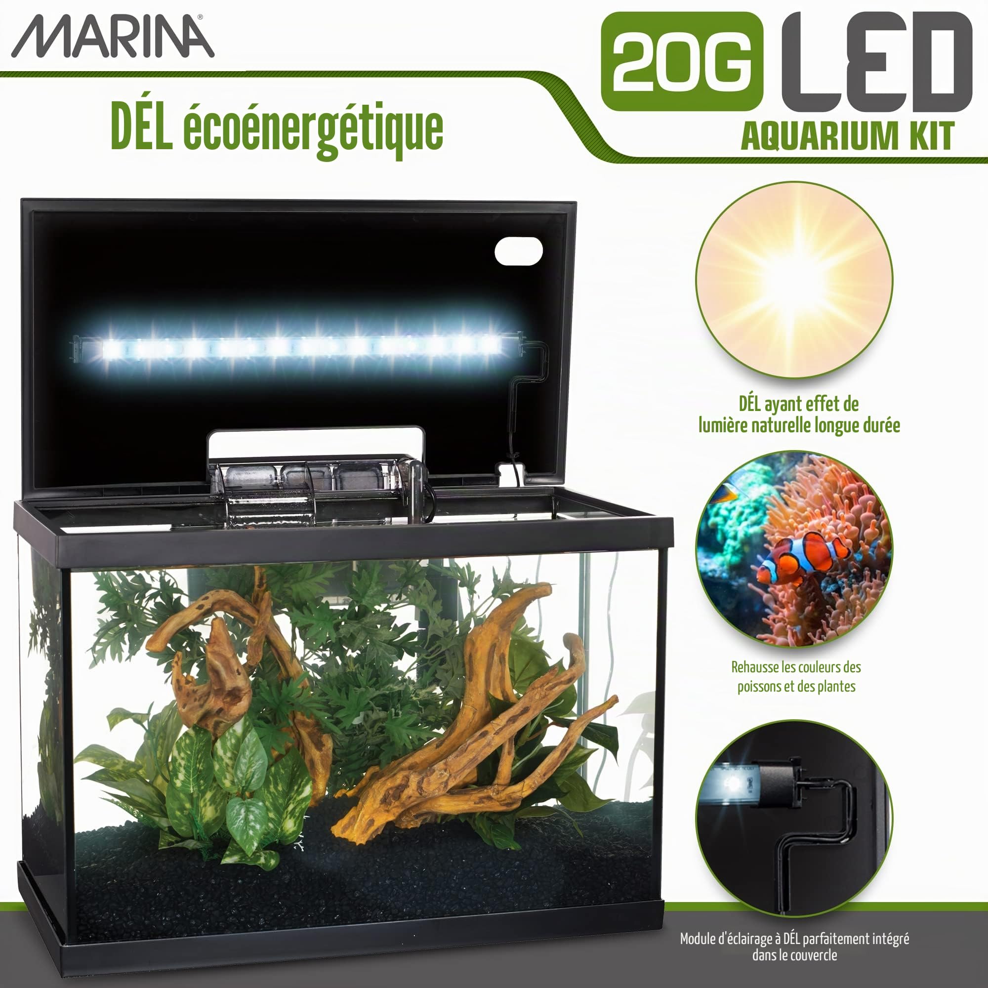Marina Kit LED pour aquarium