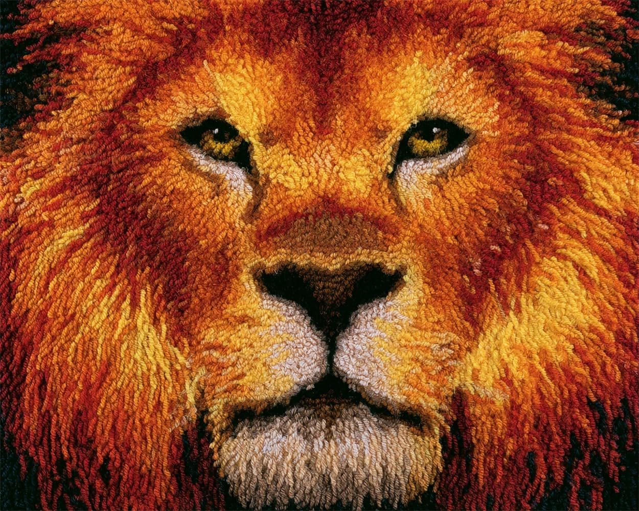 FWRTYCB Latch Hook Rug Kits,Lion face
