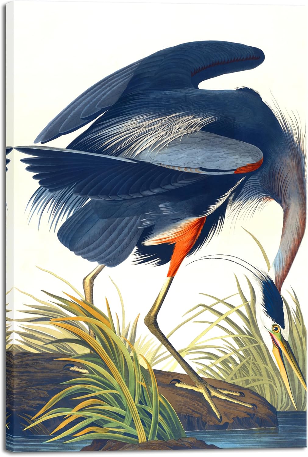 Wieco Art Canvas Print Wall Art Great Blue Heron by John James Audubon Vintage Poster Birds of America Antique Bird Illustration Wall Art for Living Room Home Kitchen Decorations