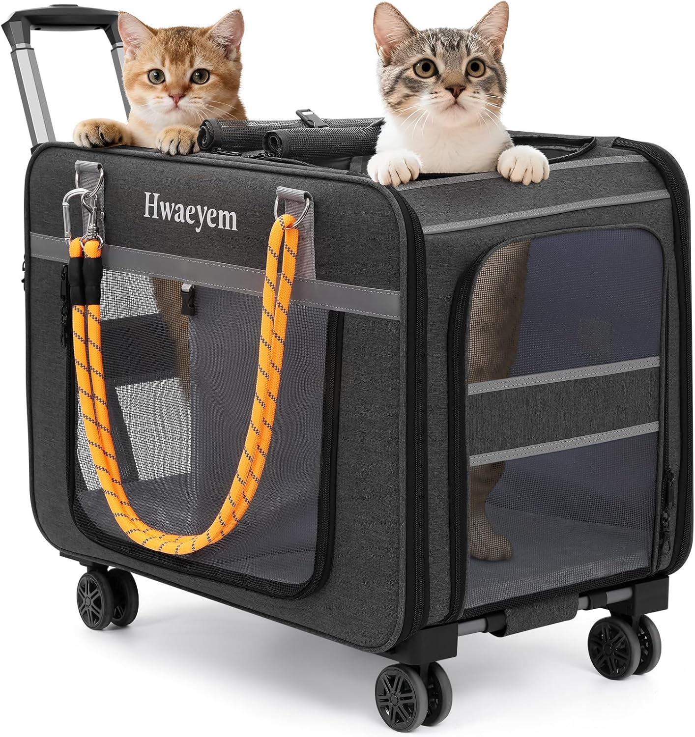 Extra Large Pet Cat Carrier with Wheels, Rolling Pet Carrier for 2 Cats or Medium Dog, 24" X 15" X 17" Portable Dog Cat Crate for Large Cat, Support up to 40 Lbs, Grey Grey 24inch