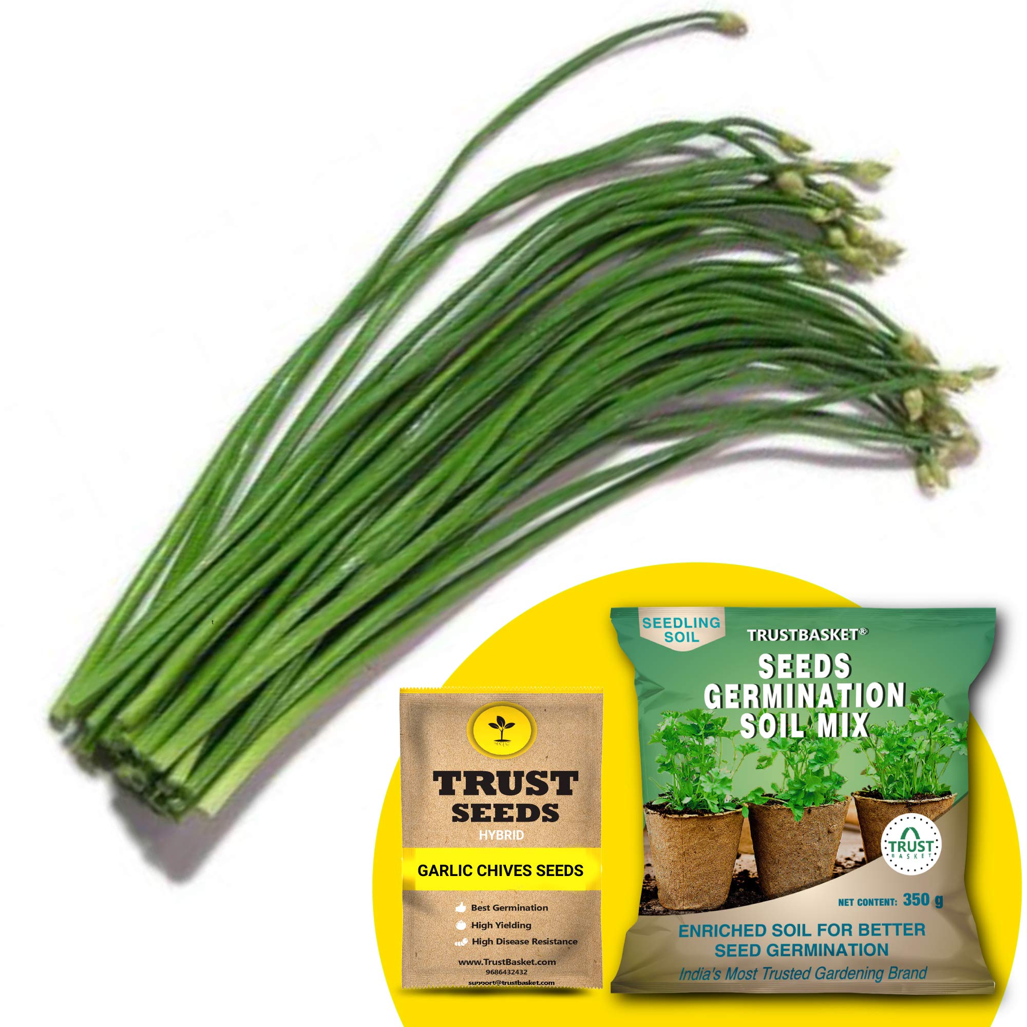 Trust Basket Trustbasket Garlic (Hybrid) Seeds With Germination Potting Soil Mix (B07R497SZD) Amazon Price History, Amazon Price Tracker