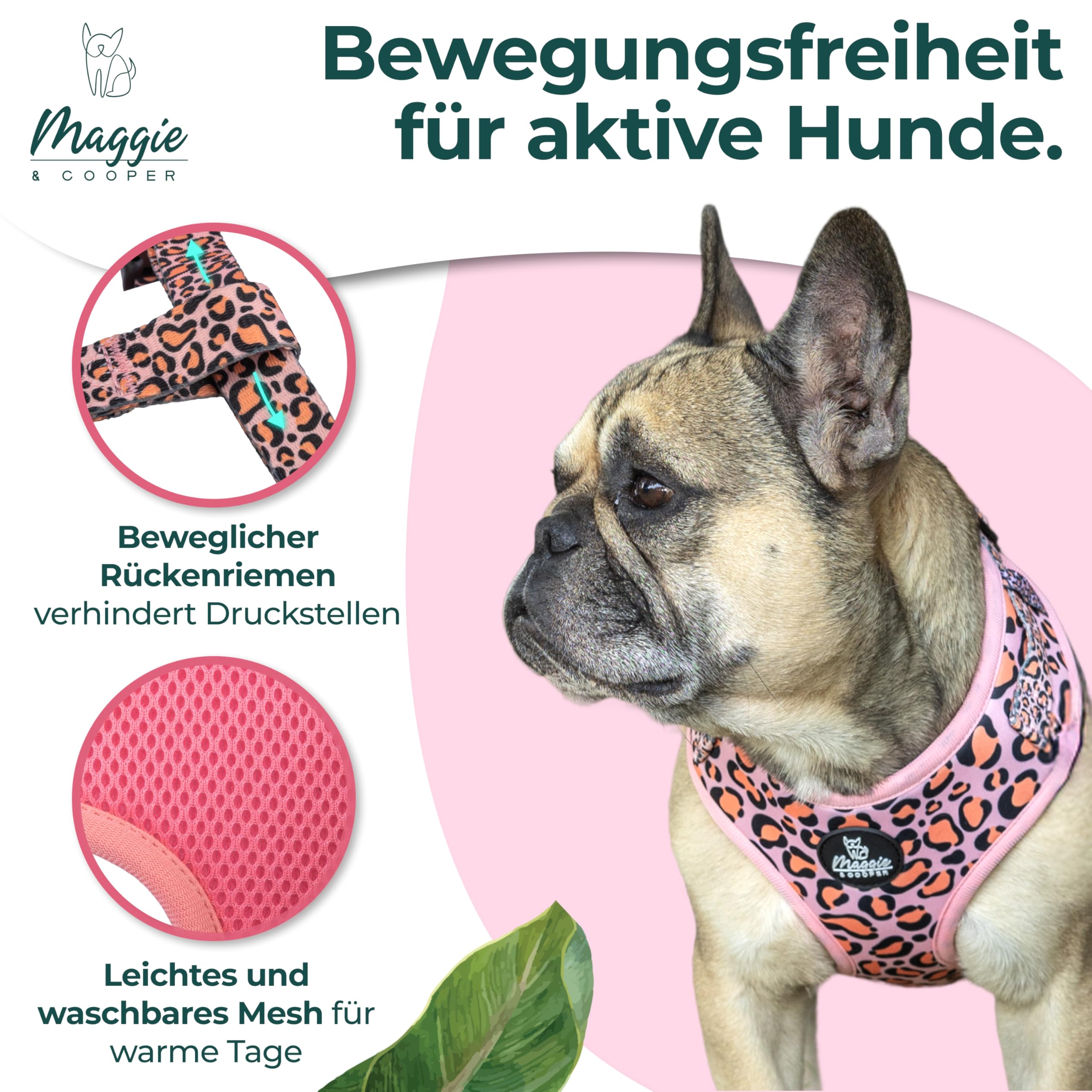 MAGGIE & COOPER Juego de correas para perros – Diseño Leo – 5 piezas: collar, arnés, correa, lazo, dispensador de bolsas de excrementos – 4 tamaños – Caja de regalo (M)