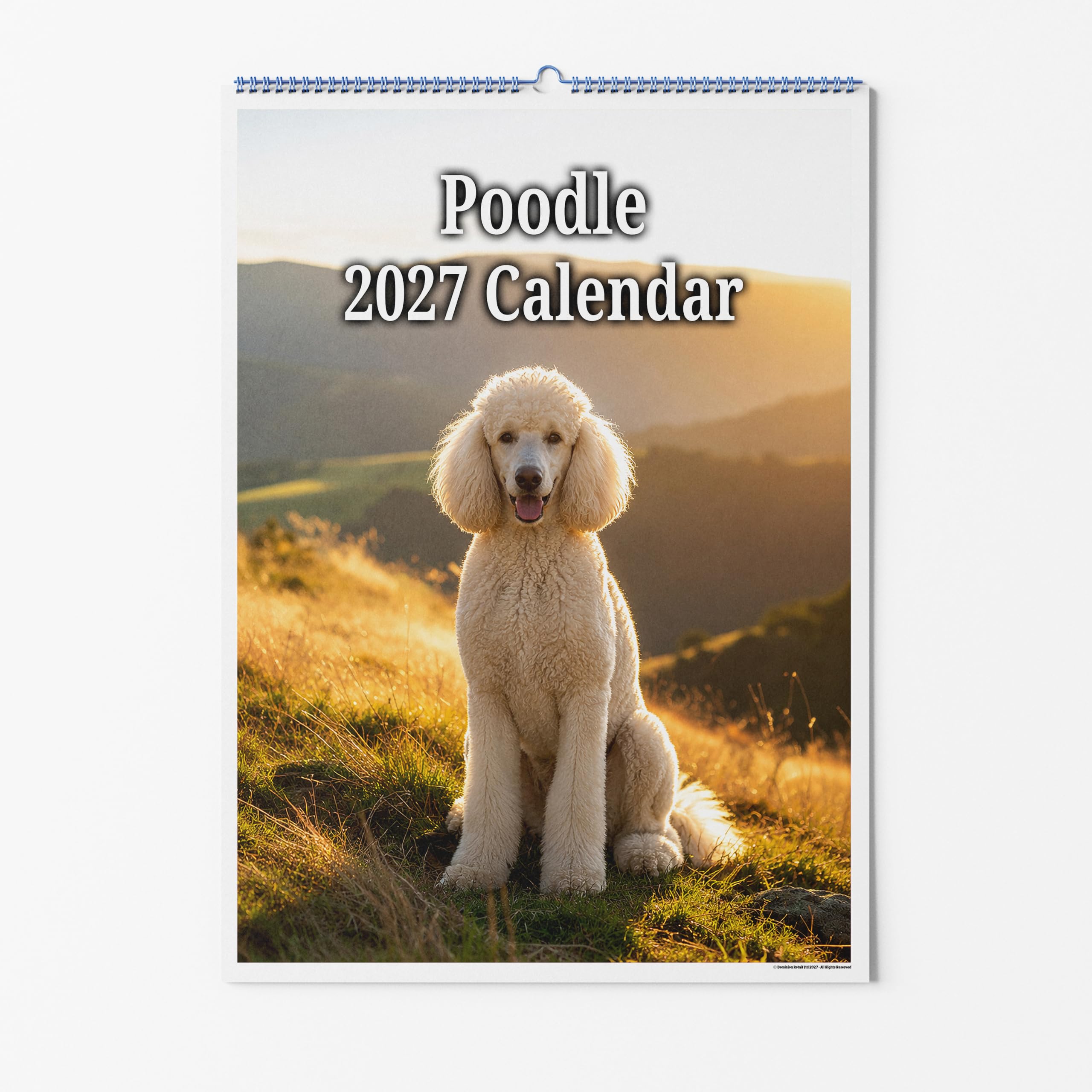 Party People A4 Wall Calendar - Poodle Dog 2027 โ image 1
