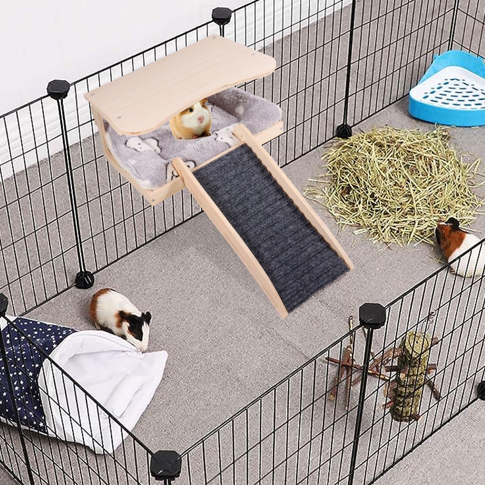 https://m.media-amazon.com/images/I/8159URgJj6L.jpg