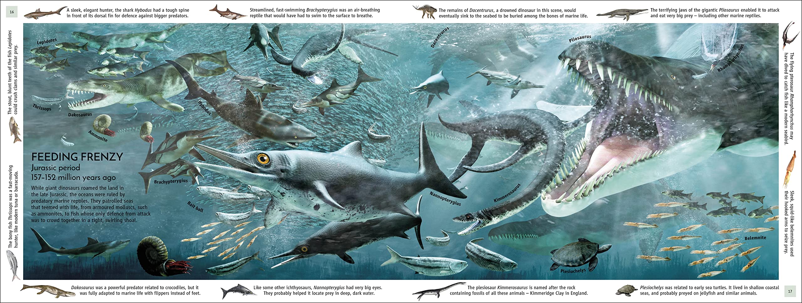 Life Through Time: The 700-Million-Year Story of Life on Earth