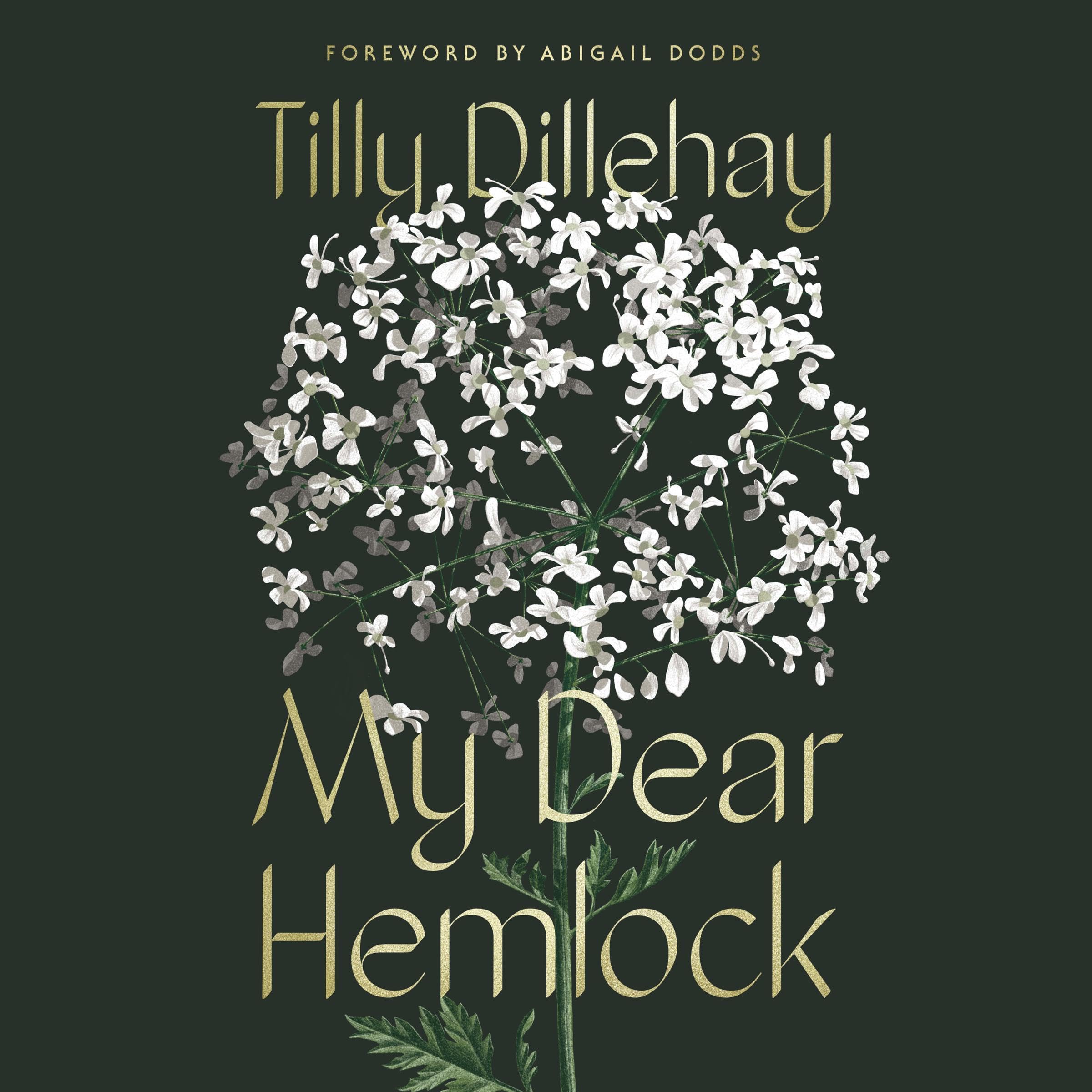 Cover art for My Dear Hemlock