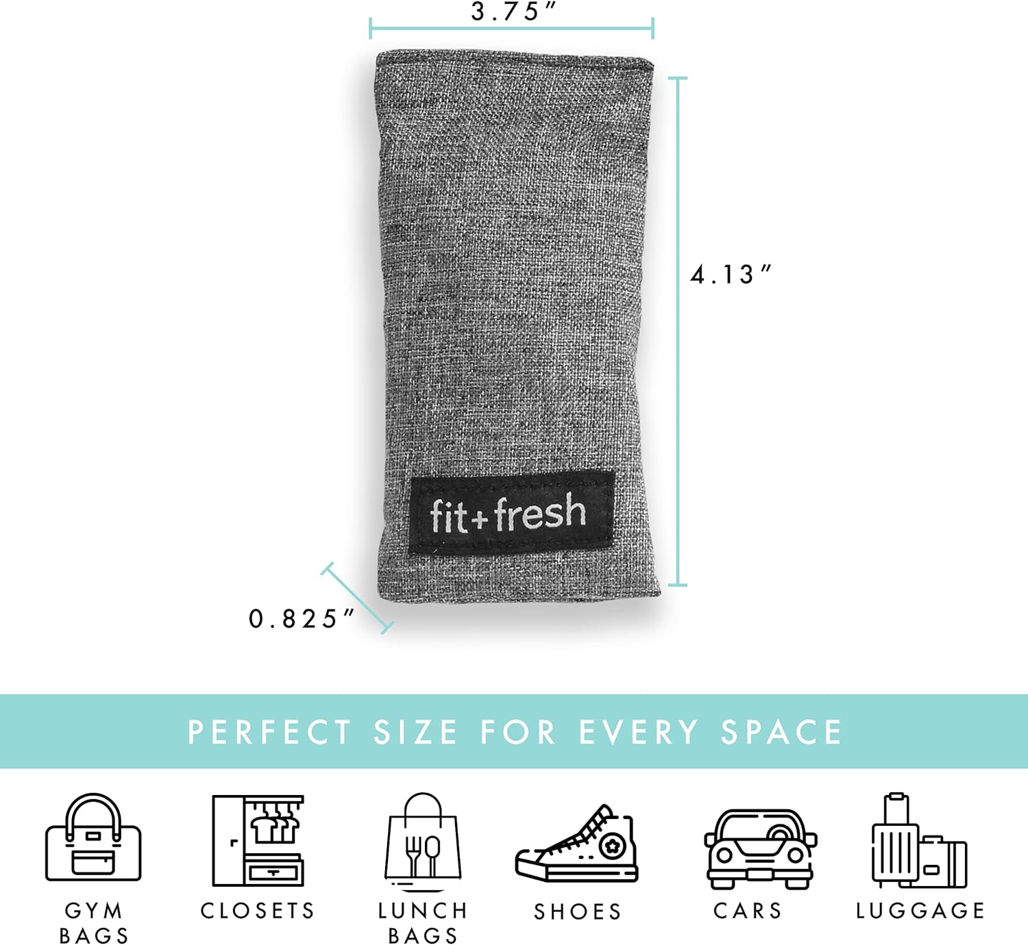 Fit and Fresh Fit & Fresh Activated Charcoal, 4 Pack, 4 x 3.75 x 3.75, Gray : Health & Household