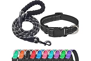 Reflective Dog Collar with Leash Set: Padded with Soft Breathable & Durable Nylon