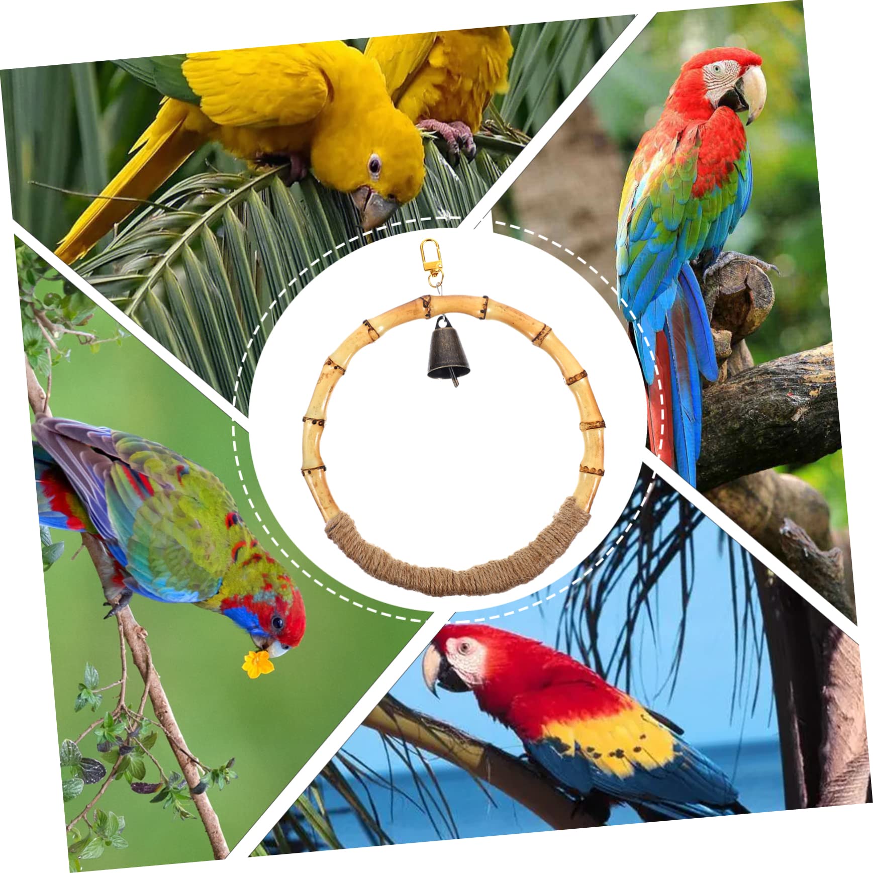 Beaupretty 3piezas Columpio para Pájaros De Natural Juguete Colgante para Periquitos y Loros para Jaulas Estable y Seguro Diversión y Estimulación para Mascotas Pequeñas