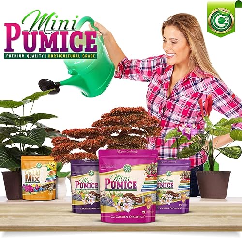 Miniatura 4 de Medios de cultivo de piedra pómez - Hecho en Estados Unidos para bonsái • Suculentas • Cactus • Orquídeas - Acondicionador aditivo para modificar el