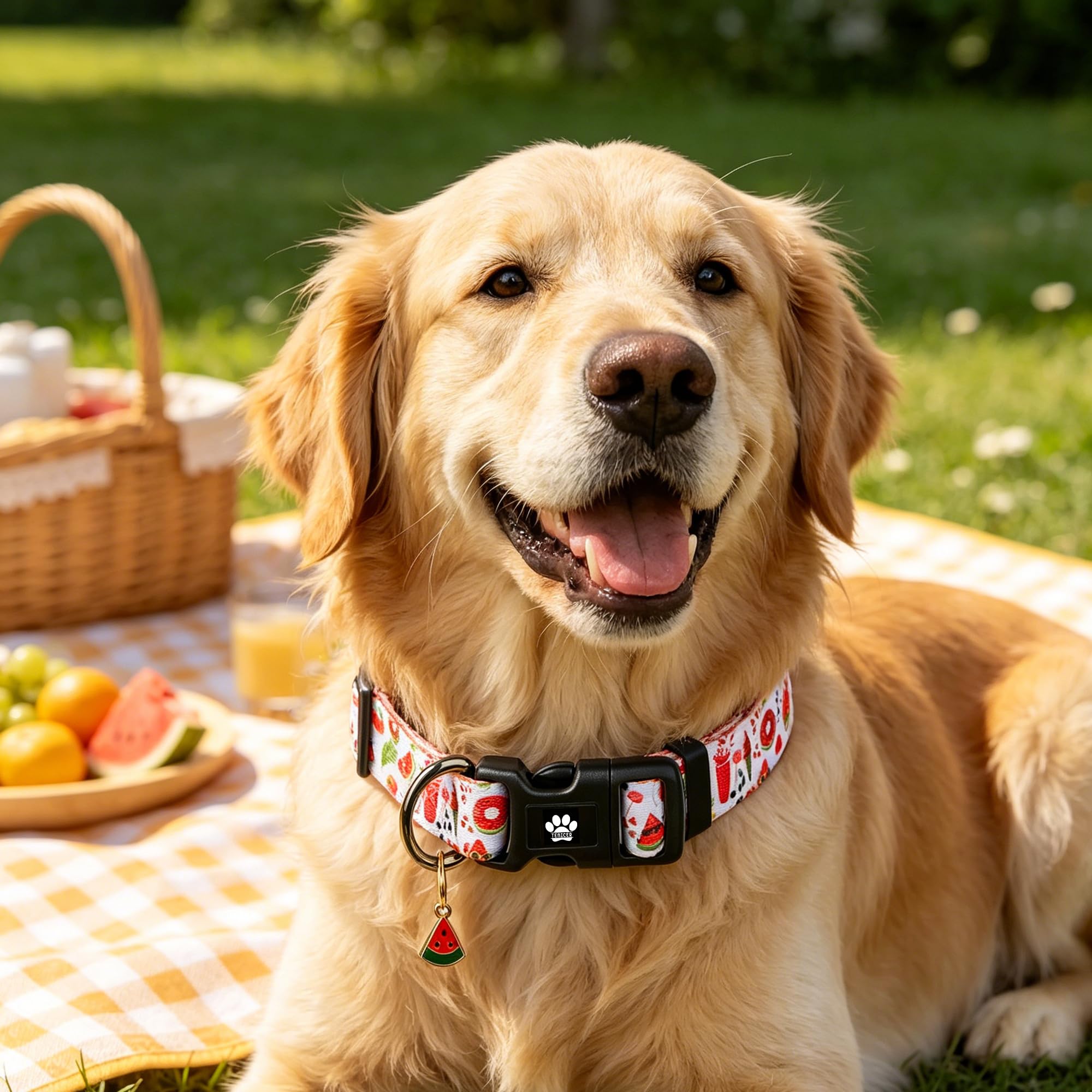 Collar de verano para perros pequeños, medianos y grandes, lindos collares de sandía para cachorros, para niños y niñas, para fiesta en la piscina, picnic, senderismo, caminar, actividades al