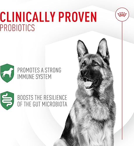 Miniatura 2 de Royal Canin Probióticos para perros Suplemento en polvo para la salud digestiva e inmunológica para perros de todas las edades, 30 unidades