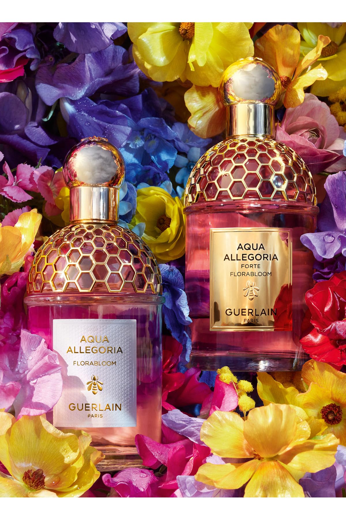 Guerlain Aqua Allegoria Florabloom Eau de Toilette 75ml : Amazon