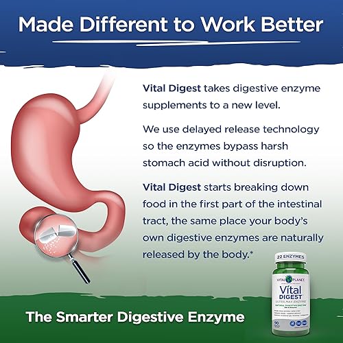 Miniatura 3 de Vital Planet Vital Digest - La enzima digestiva natural apoya la descomposición de proteínas, grasas e carbohidratos y reduce los gases ocasionales,