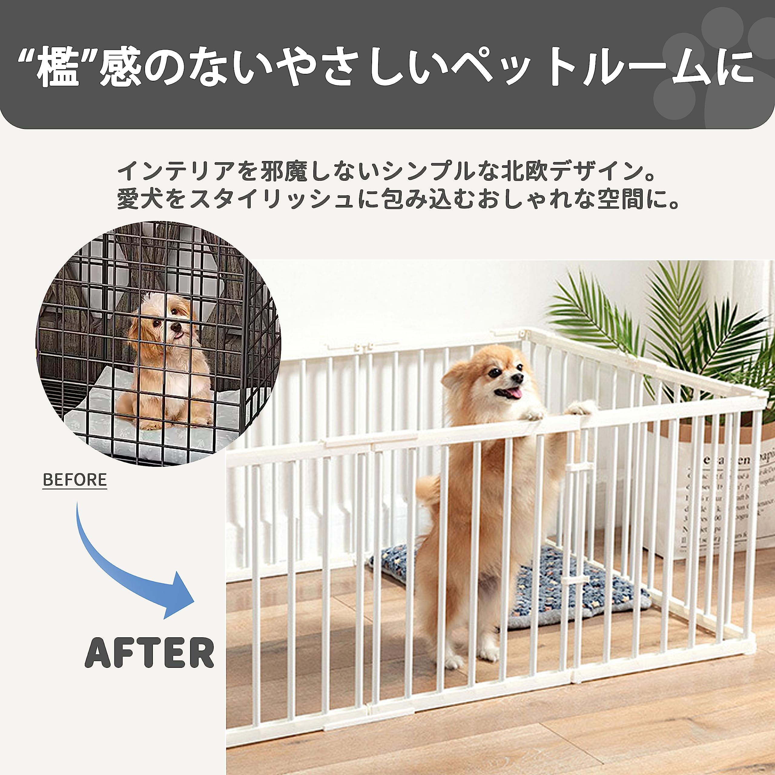 Amazon.co.jp: Aoikoy: ペット用品