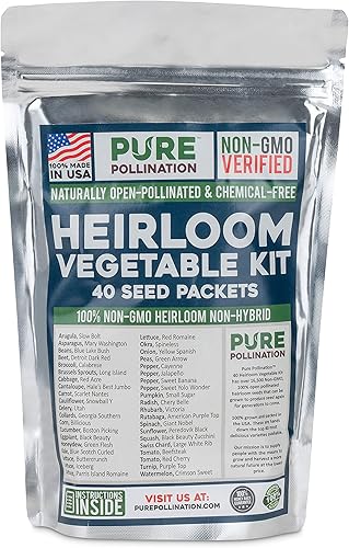 16500 No GMO semillas vegetales varias jardín de supervivencia 40 paquetes varios