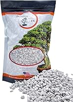Pumice for Bonsai, Succulent, Cactus, Alocasia, Monstera, and Tropical Aroids | 2 Quarts Bag | 1/4” Particle Size | The Bonsai Supply
