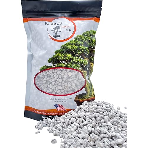 Pumice for Bonsai, Succulent, Cactus, Alocasia, Monstera, and Tropical Aroids | 2 Quarts Bag | 1/4” Particle Size | The Bonsai Supply
