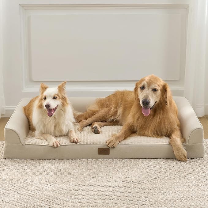 Cama Sofá Ortopédica para Perro Grande XL 44x32 Pulgadas, Lavable e Impermeable miniatura 3