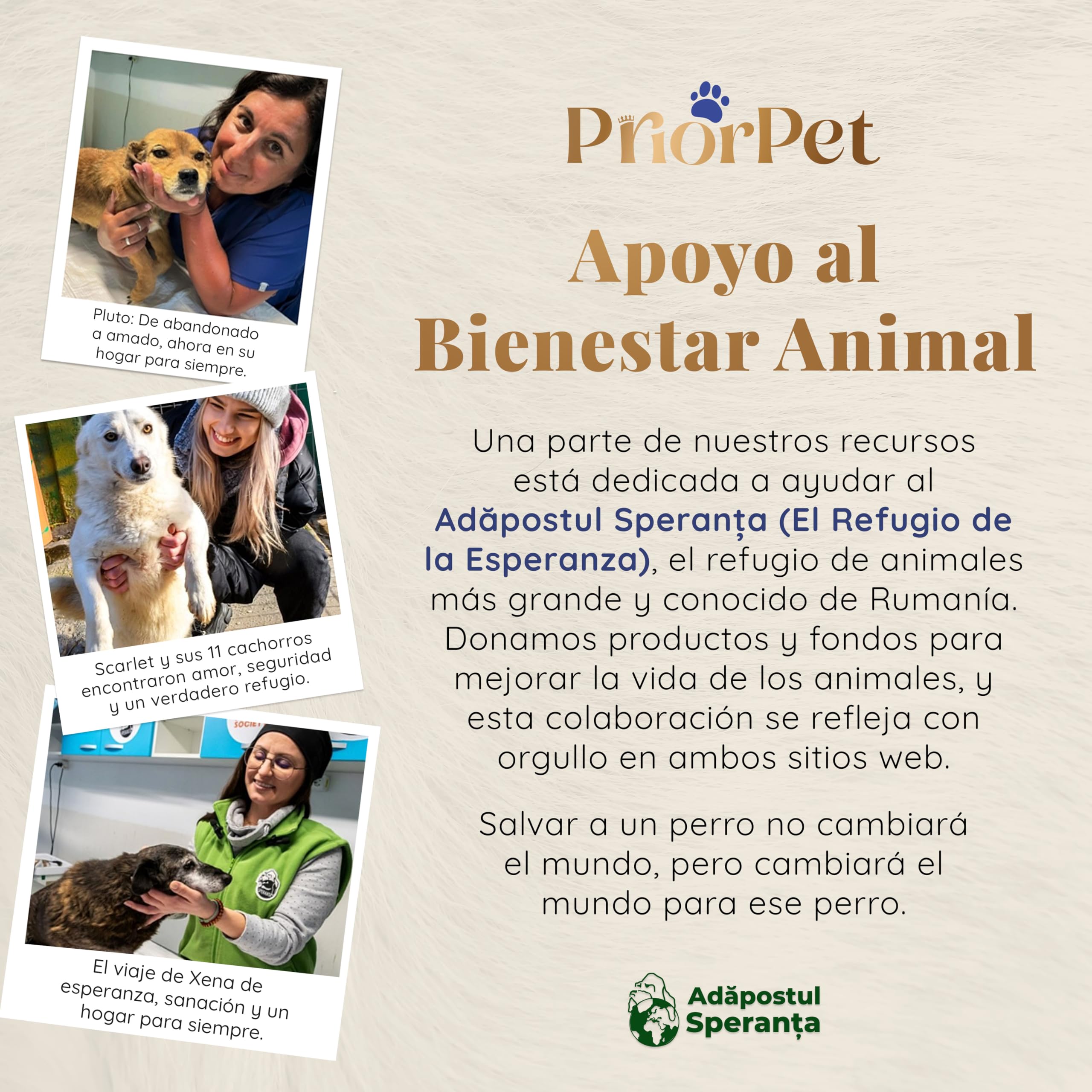 Escalera para Perros pequeños o Grandes PRIORPET - Marca Que Brilla en la Oscuridad - Rampa de Coche Plegable - Adecuada para Todos los Coches - Superficie Antideslizante - 4 Escalones