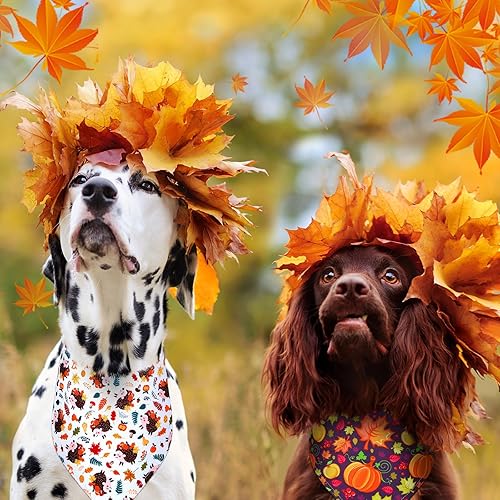 Miniatura 5 de 40 bandanas de otoño para perro, a granel, para el día de Acción de Gracias, baberos, calabaza, hojas de arce, triangular, bandana reversible para