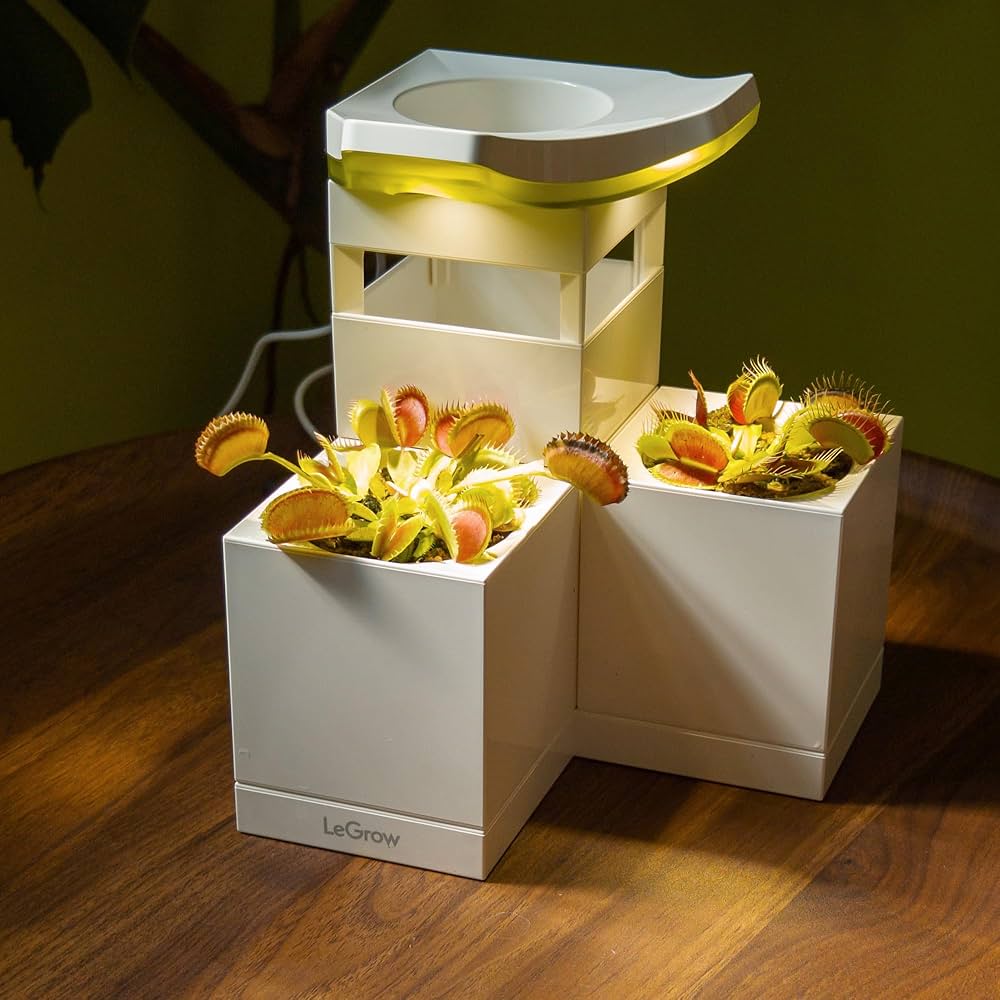 LeGrow Venus Fly Trap Pot, 50000lux Grow Light with Timer, 7 Days