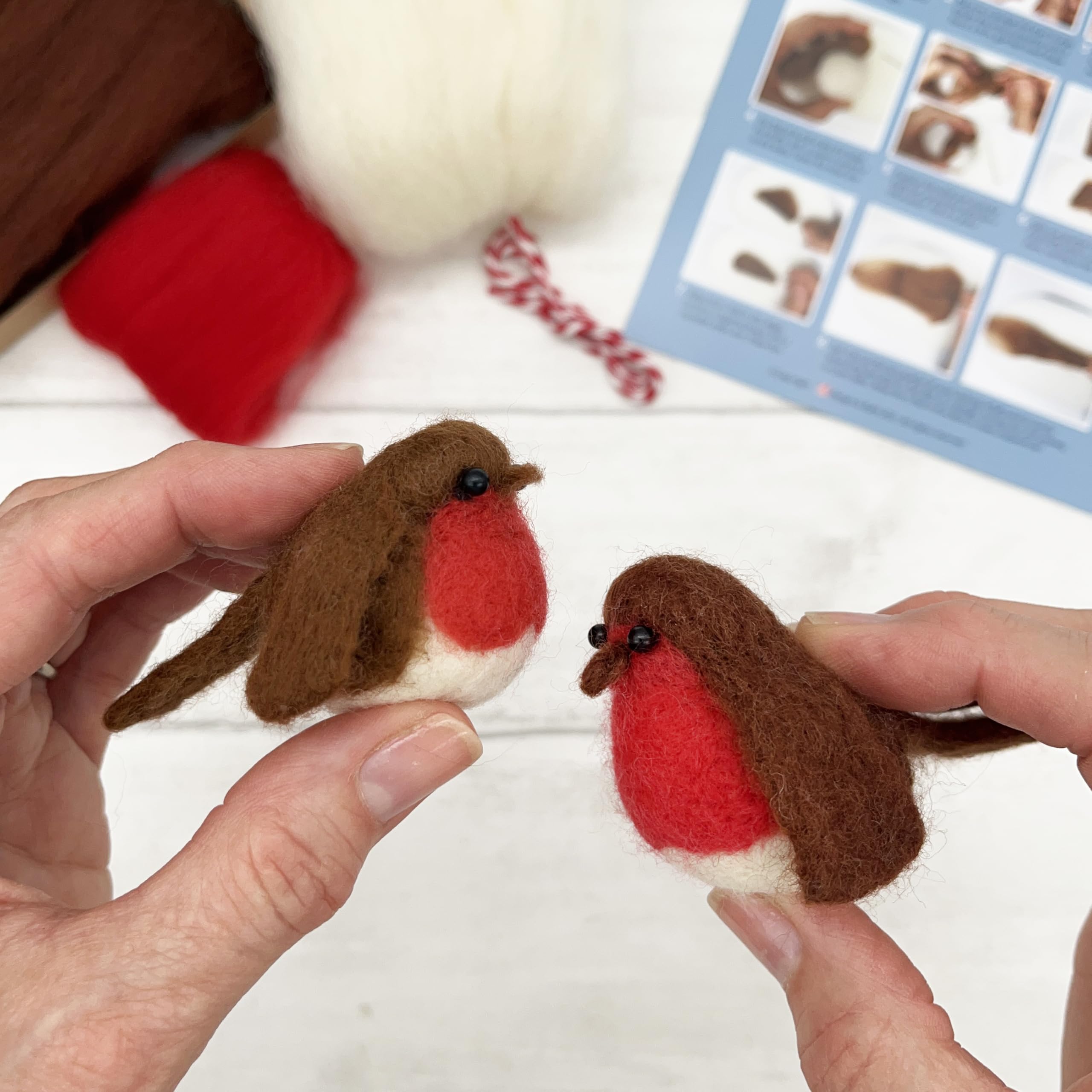 Bergin & Bath Needle Felting Kit - Image 3