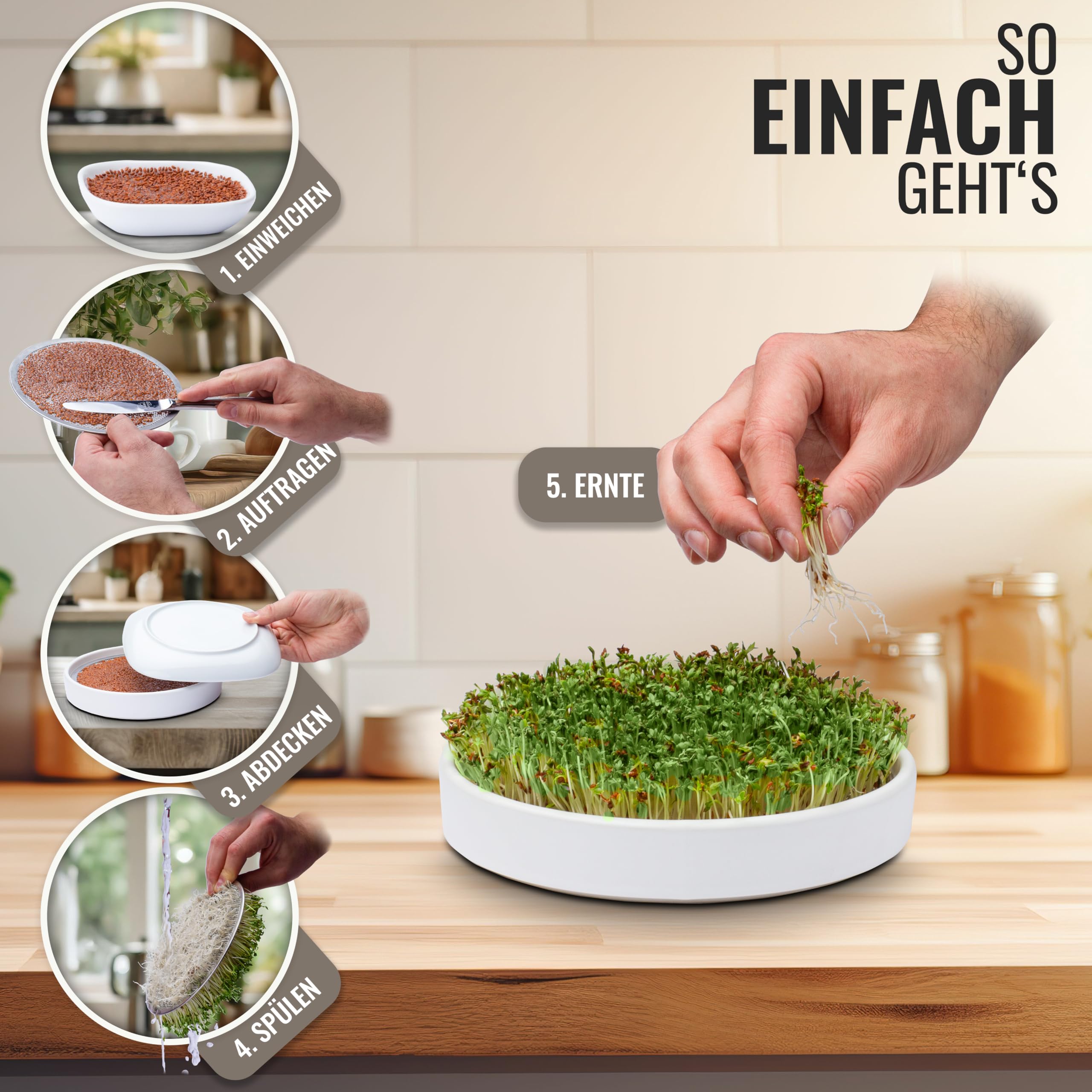 seed&eat Kressesieb (13cm) - 2er Set, Anzuchtschale für Kresse & Microgreens, mit Sprossenheft [E-Book], Keramikschale + Edelstahlsieb