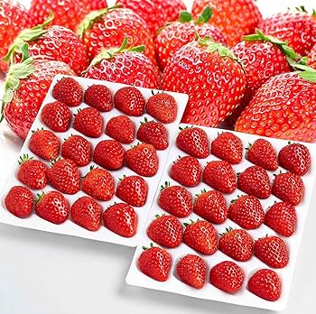 かご積みされた11粒のミニチュア苺 かご積みされた11粒のミニチュア苺