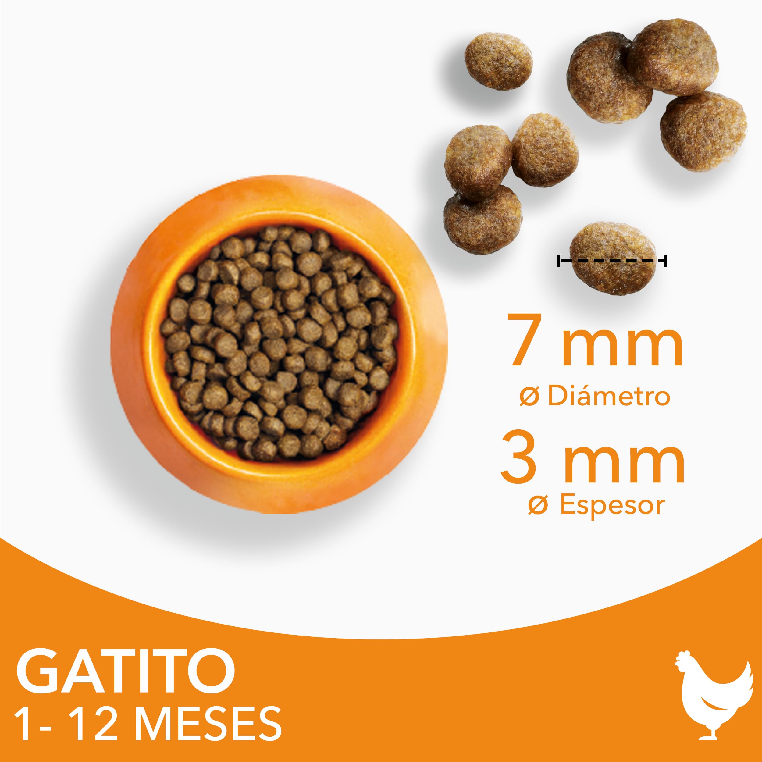 IAMS Alimento seco para gatitos junior de 1-12 meses con pollo fresco, 3 kg