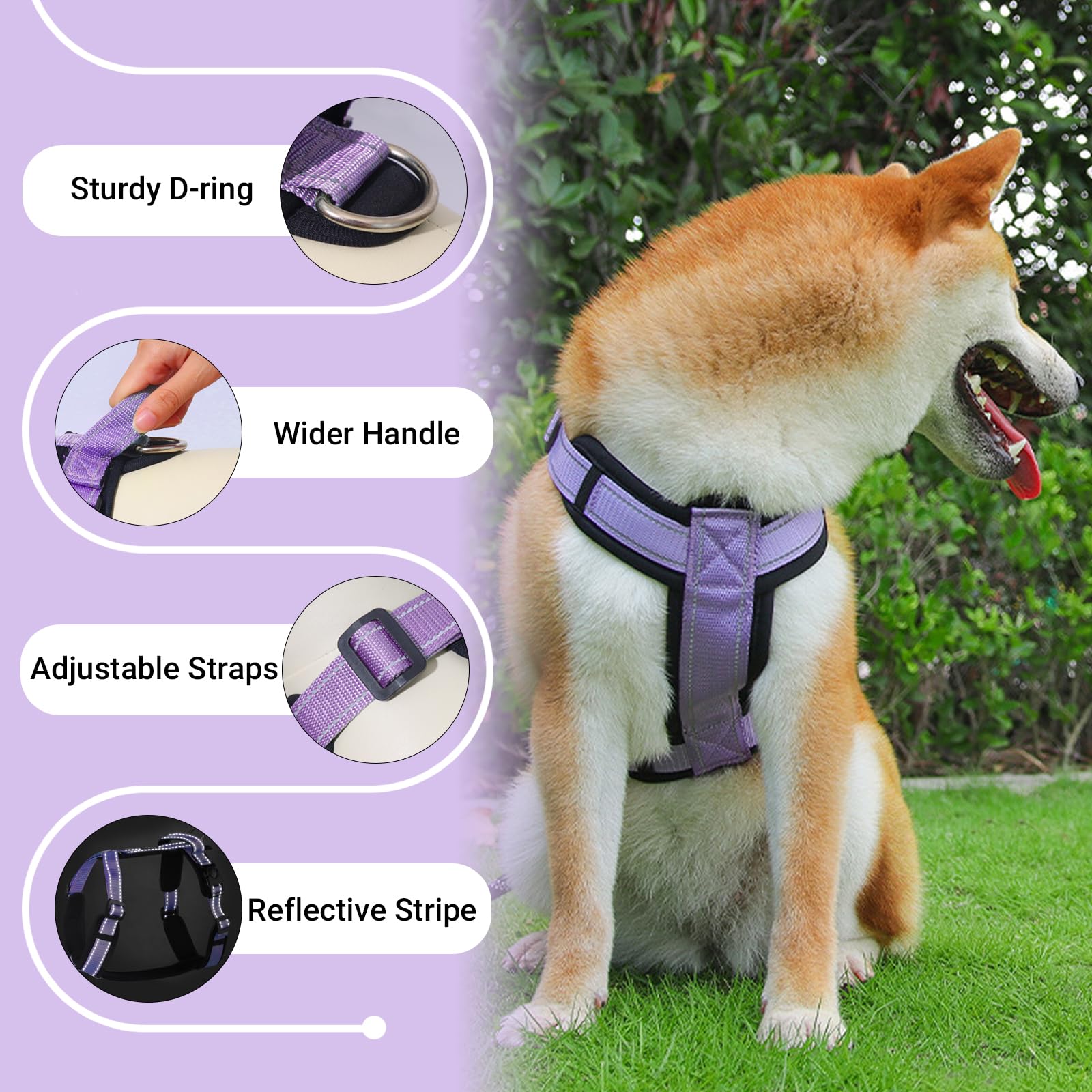 LiebeDD Pettorina Cane Taglia Grande - Pettorina H Cane - Pettorina Anti Tiro per Cani Imbracatura Riflettente Bulldog Francese Pettorina per Addestramento e Easy Walk, Viola, XL