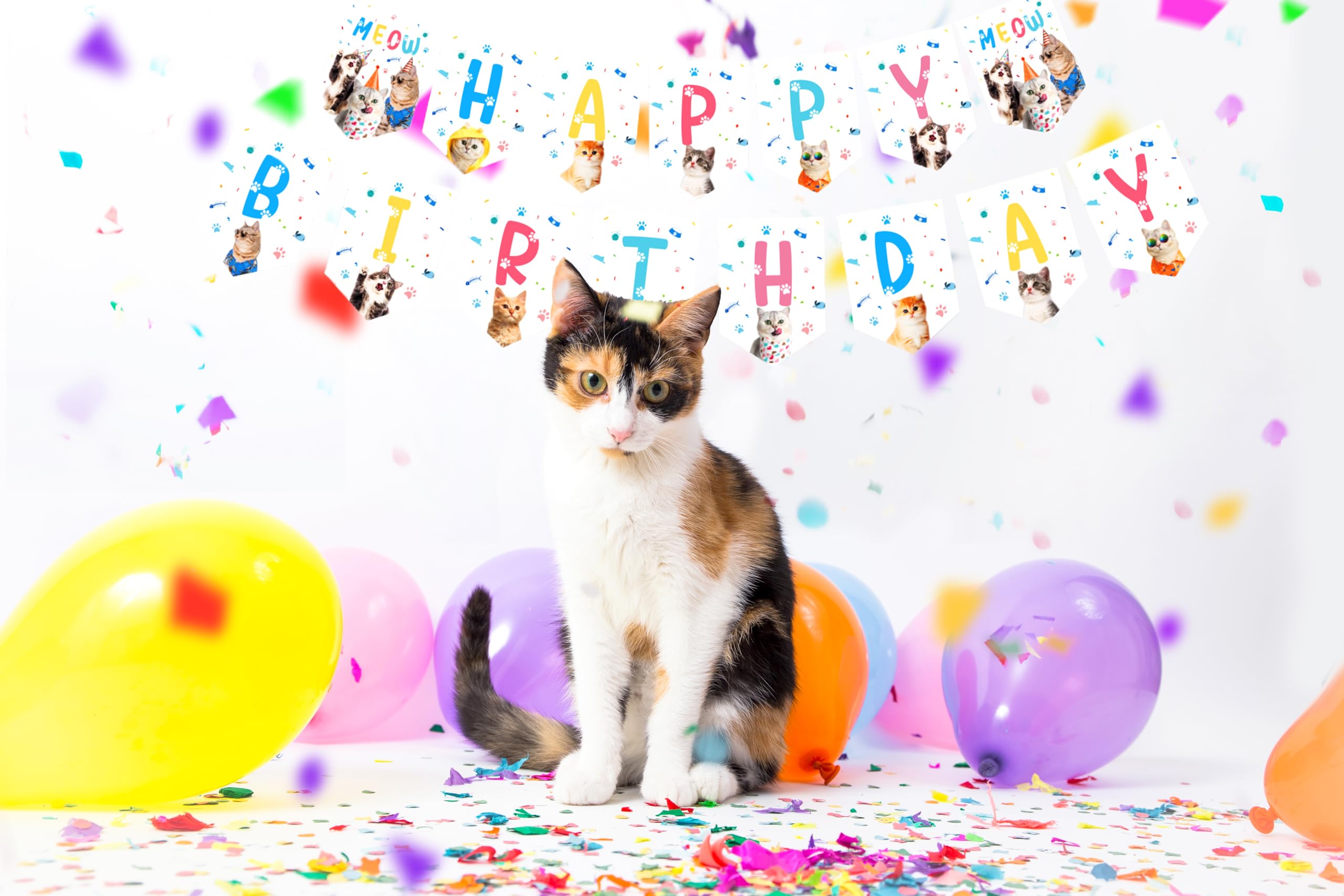 TSJ Katzengesichter Banner 'Happy Birthday' – Wimpelkette Für Katzen-Geburtstagsparty