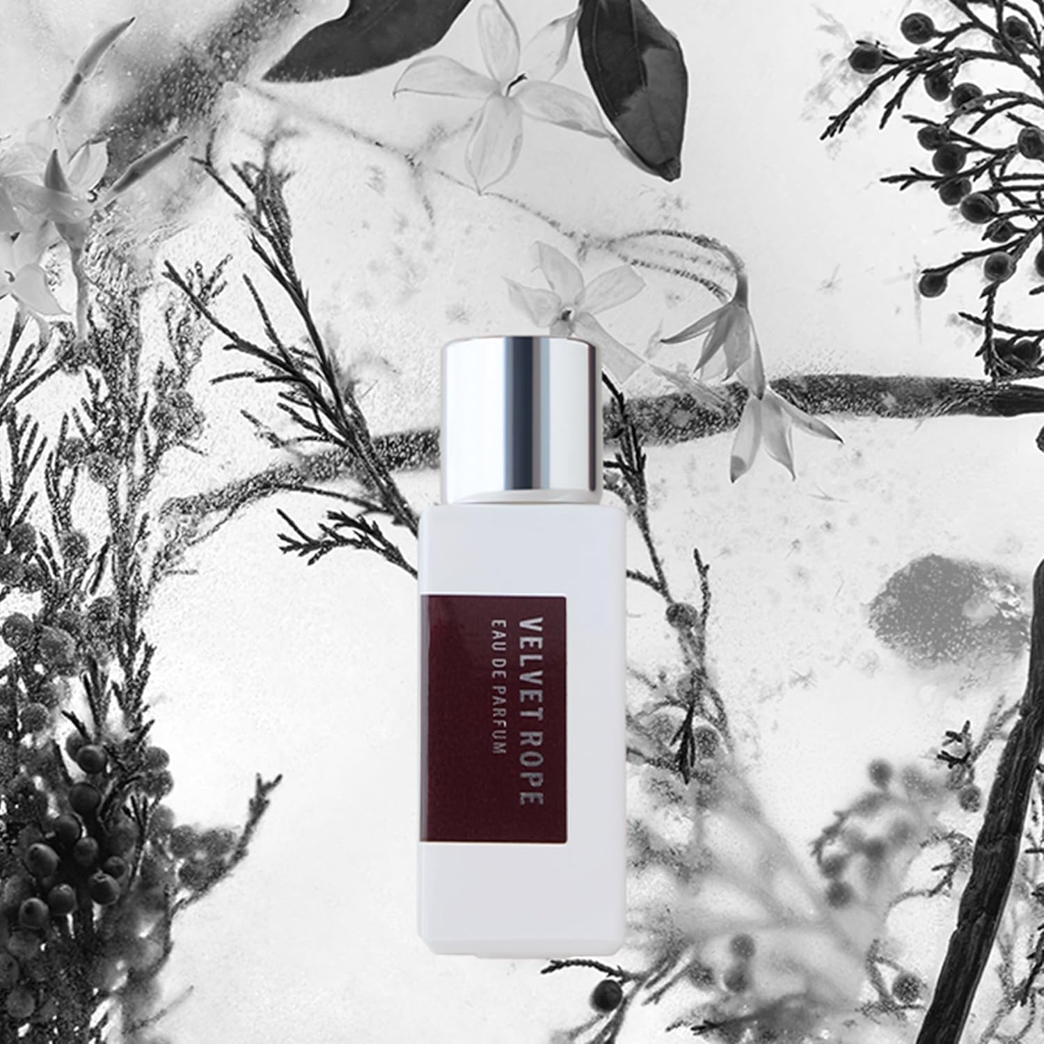 APOTHIA - Velvet Rope Travel Eau de Parfum | Vanilla Martini & Jasmine | Award Winning Fragrance | Premium Ingredients | Long Lasting Scent | 0.5 oz | 15 ml | Travel Size | Luxury Quality - Image 2