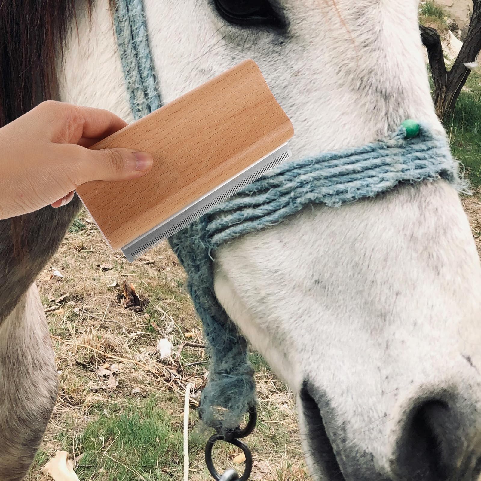 Kisangel Cepillo de Aseo Ergonómico para Mascotas, Raspador de Pelo de Caballo y Perro Mango de Madera y Acero Inoxidable para Limpieza — view 9