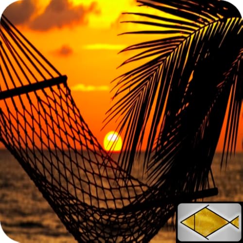 Chill out música relaxante