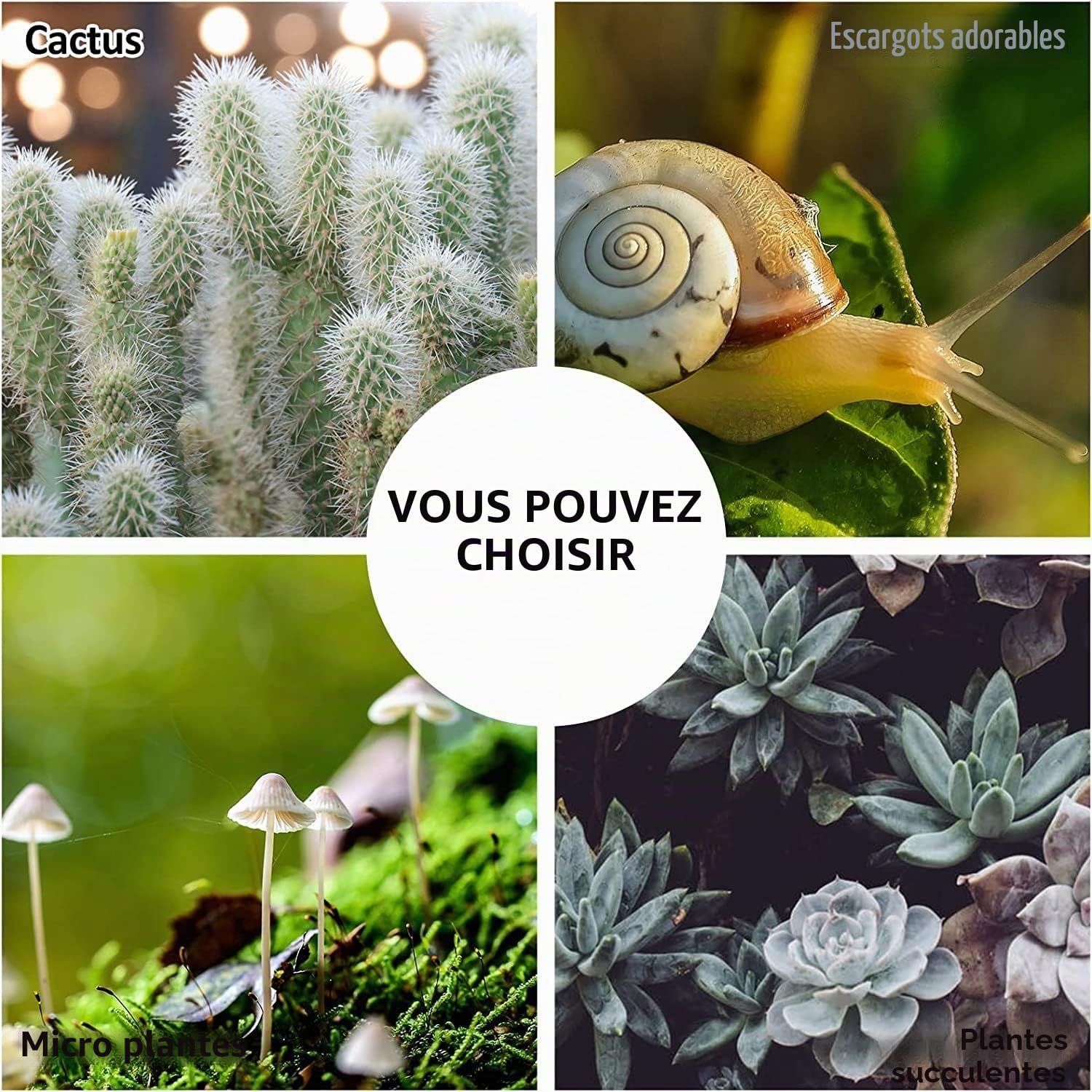 Homtone Grand Terrarium géométrique de 23 cm, boîte en Verre Faite à la Main, Pot de Fleurs Miniature Vintage pour Plantes Grasses, Cactus, Plantes aériennes (Forme de Maison Noire)