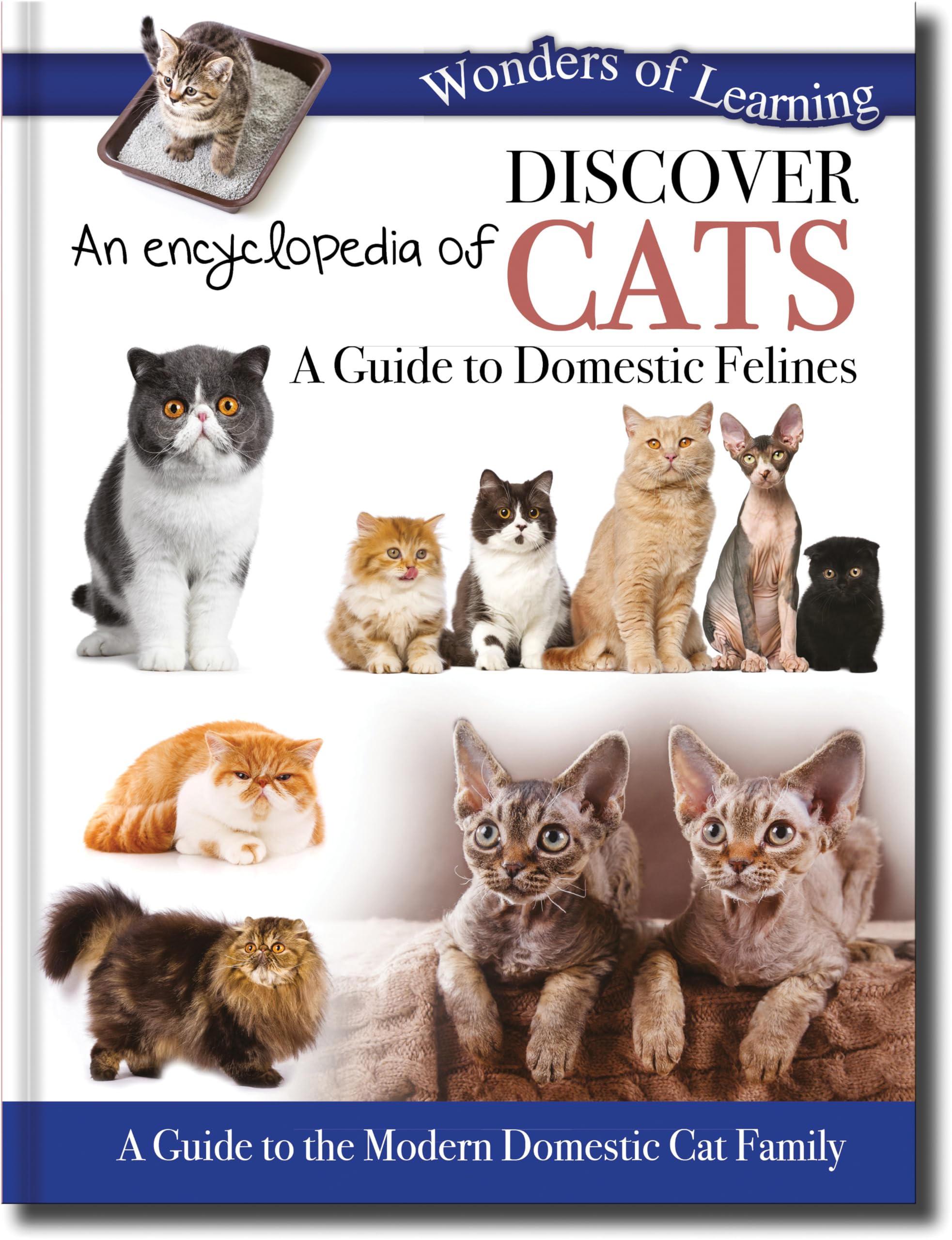Discover an Encyclopedia of Cats: A Guide to Domestic Felines (Wonders of Learning Padded Foil Book)