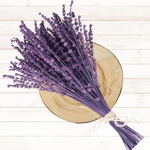 Miniatura 7 de Flores secas de lavanda morada, ramo de lavanda preservada seca de 15 a 17 pulgadas para decoración de jarrones de ducha, manualidades,