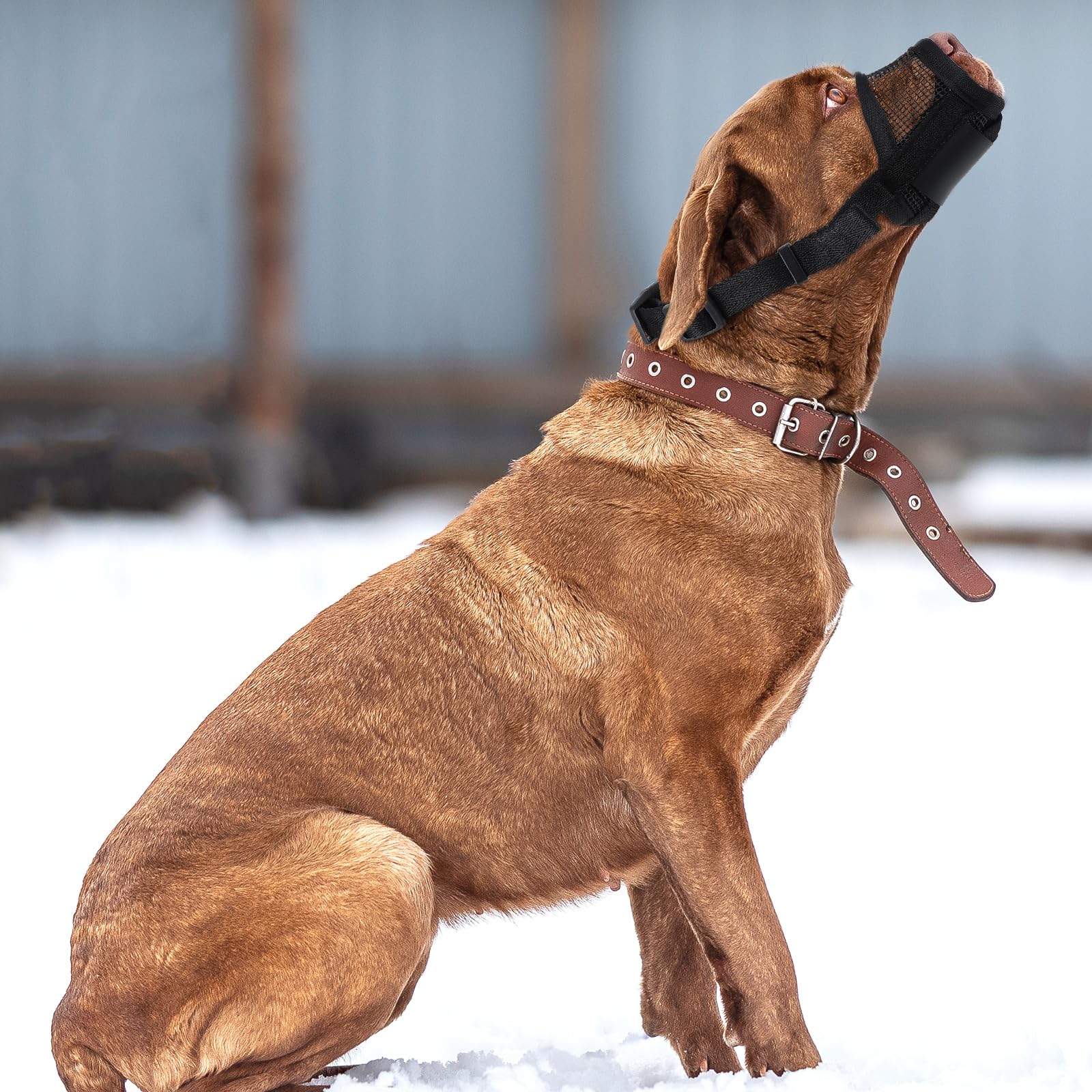 YUXIANLB Dog Muzzle for Small Medium Large Dogs Soft Air Mesh Muzzle Breathable Muzzles Anti Biting Barking Chewing Adjustable Mouth Cover Dogs Soft Nylon Muzzles (Black-M)